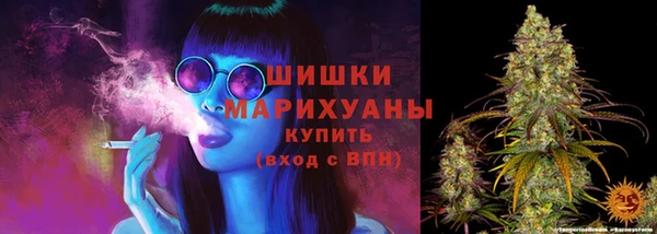 apvp Белокуриха