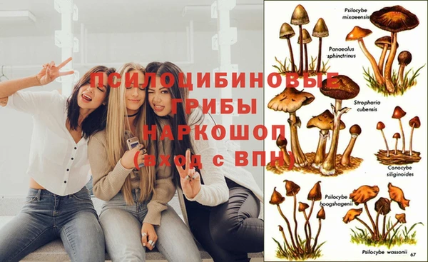гашиш Богородицк