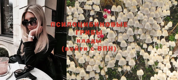 apvp Белокуриха