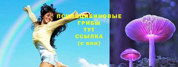 гашик Беломорск