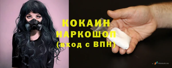 apvp Белокуриха