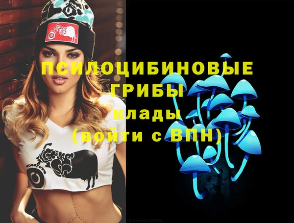 apvp Белокуриха